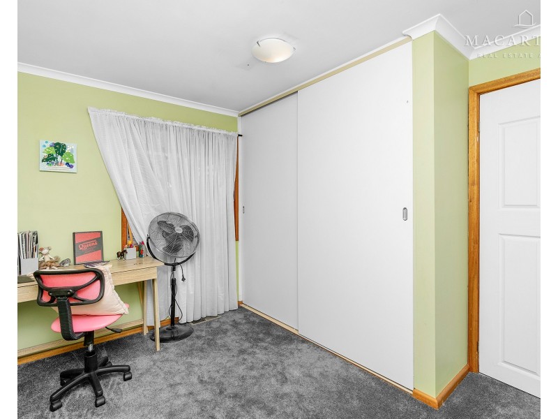 43 Alexander Street, Ashmont NSW 2650