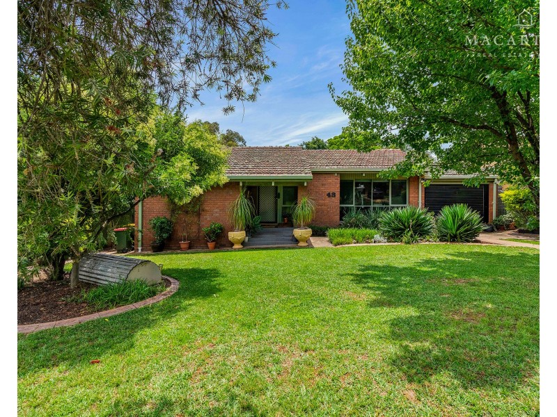 43 Alexander Street, Ashmont NSW 2650