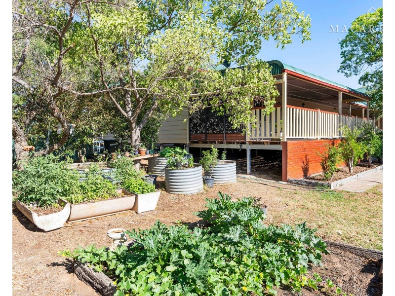 5 Norman Duck Avenue, San Isidore NSW 2650