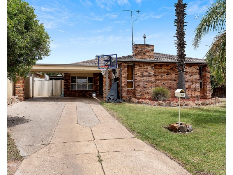 56 Crawford Street, Ashmont NSW 2650