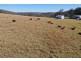 1 Barn Road, Emu Creek QLD 4355