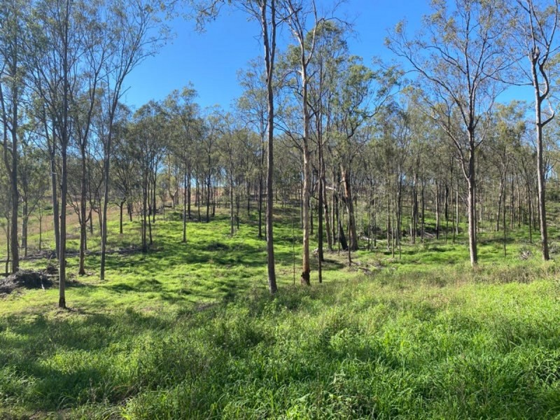 225 Six Mile Creek Road, Postmans Ridge QLD 4352