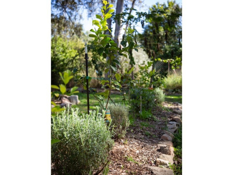 5 Jessie Lane, Murphys Creek QLD 4352