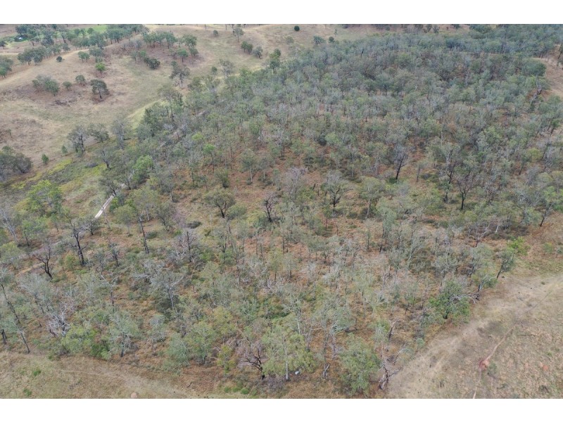 104 Andrews Dip Road, The Bluff QLD 4355