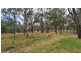 1058 Boundary Street South, Drayton QLD 4350