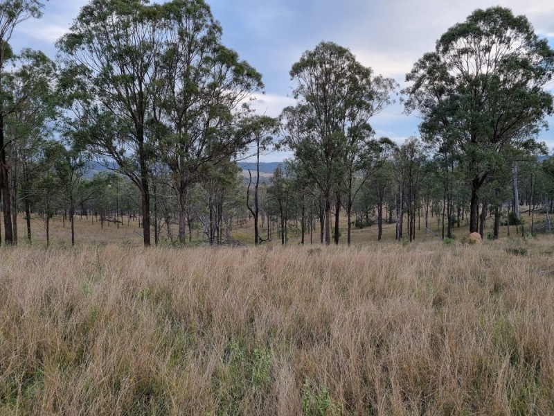 1 Bum Bum Creek Road, St Aubyn QLD 4352