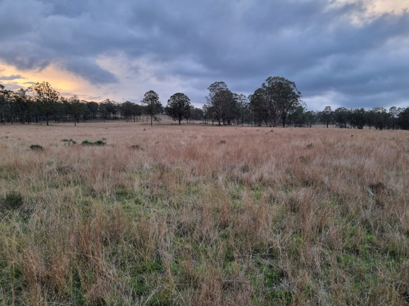 1 Bum Bum Creek Road, St Aubyn QLD 4352