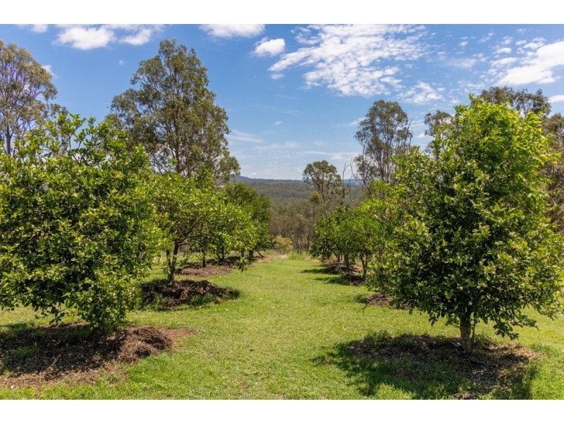 145 Six Mile Creek Road, Postmans Ridge QLD 4352