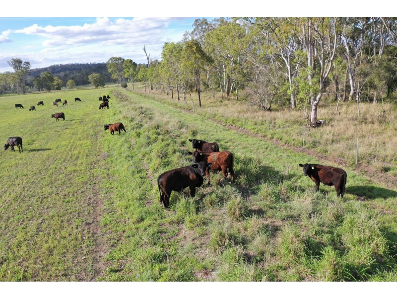 5490 Oakey Cooyar Road, Wutul QLD 4352