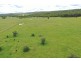 121 Gomoran Bergen Road, Goombungee QLD 4354