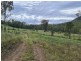 Lot 2 Davis Road, West Haldon QLD 4359