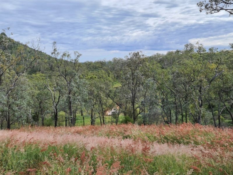 Lot 2 Davis Road, West Haldon QLD 4359
