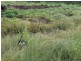 Lot 2 Davis Road, West Haldon QLD 4359