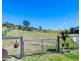 11 Bottle Tree Court, Withcott QLD 4352