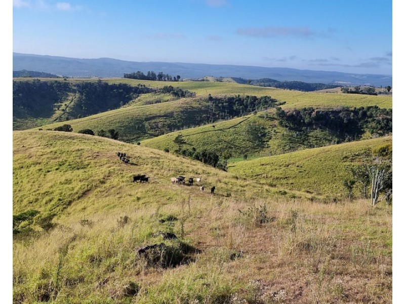 9 Dioths Road, Upper Yarraman QLD 4614