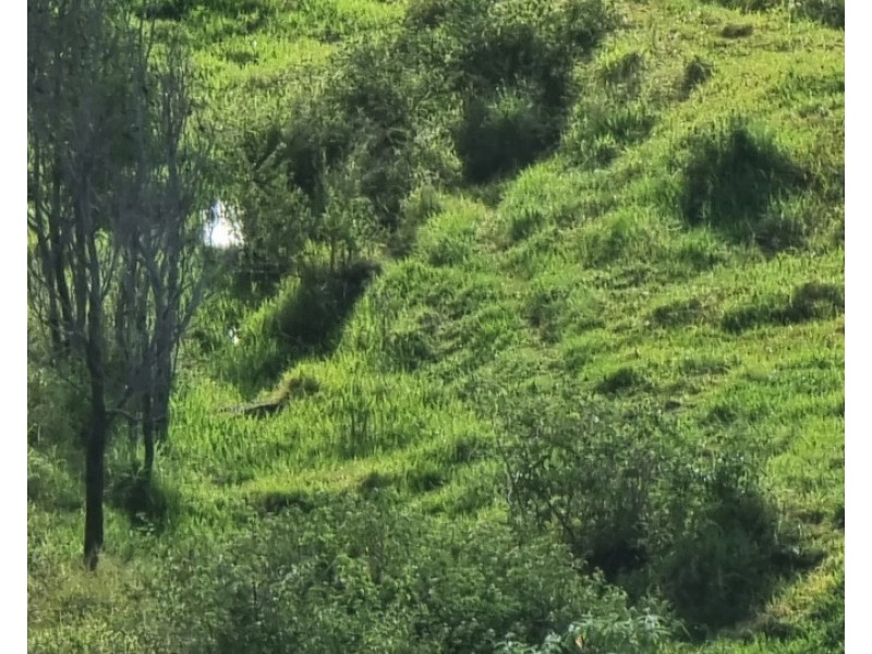 9 Dioths Road, Upper Yarraman QLD 4614