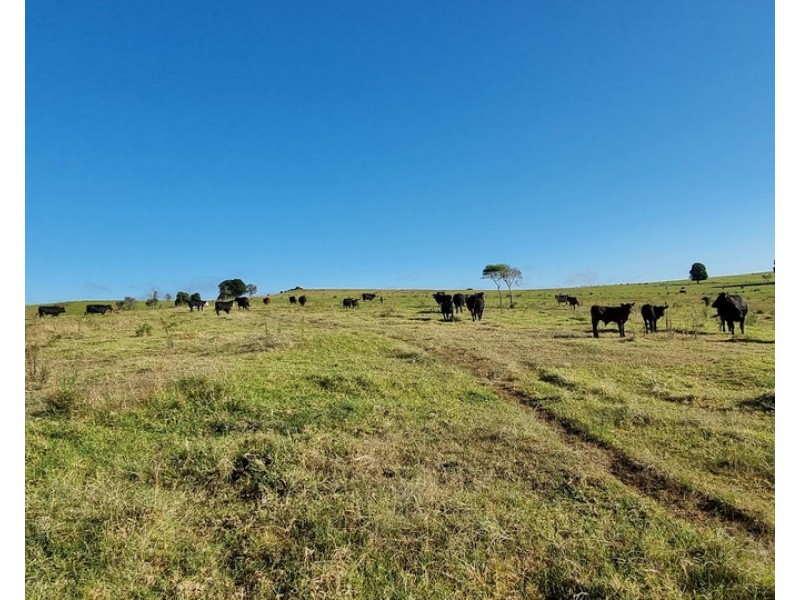 9 Dioths Road, Upper Yarraman QLD 4614