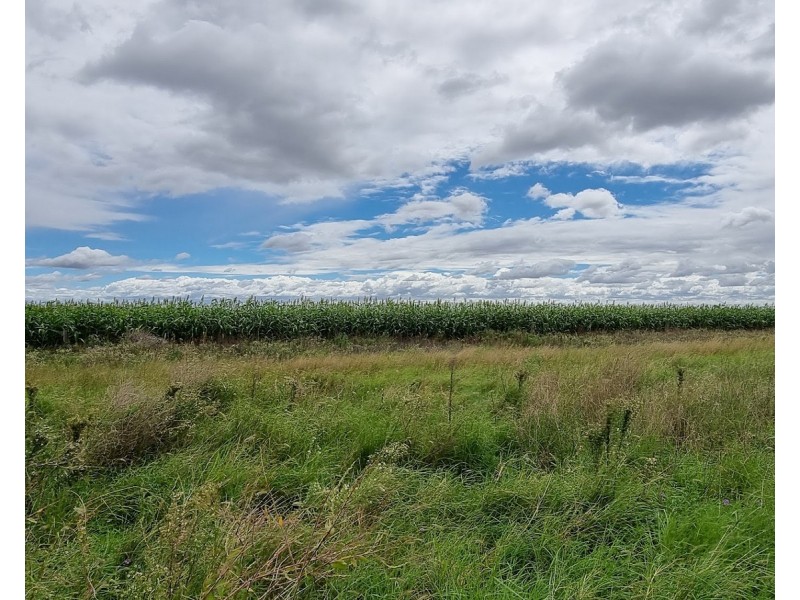 1 Oakey-Pittsworth Road, Aubigny QLD 4401