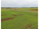1 Oakey-Pittsworth Road, Aubigny QLD 4401