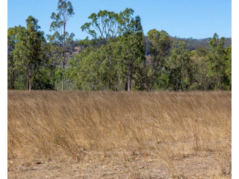 14 Parkridge Drive (Kookaburra Ridge), Withcott QLD 4352