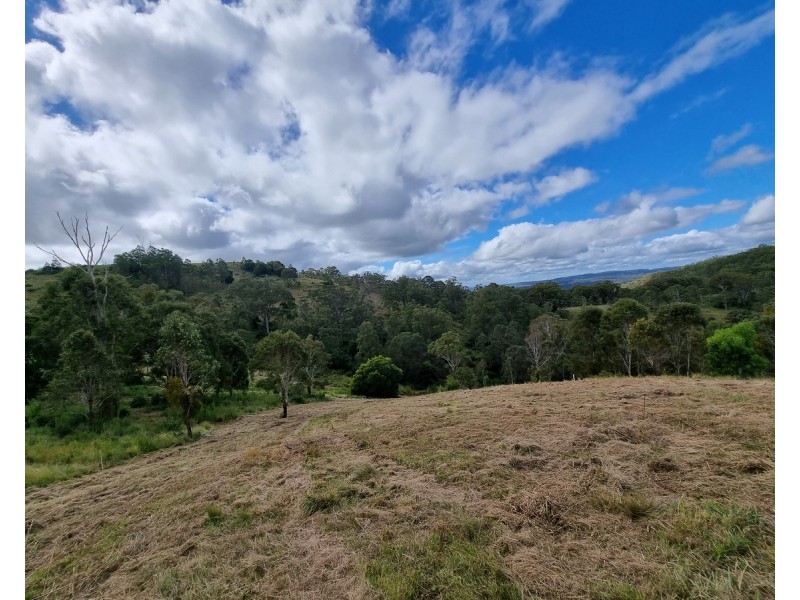 55 Charlotte Road, Hampton QLD 4352