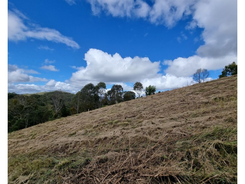 55 Charlotte Road, Hampton QLD 4352