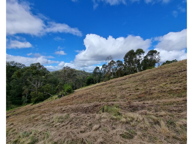 55 Charlotte Road, Hampton QLD 4352