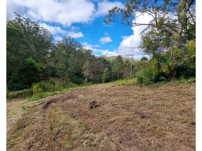 55 Charlotte Road, Hampton QLD 4352