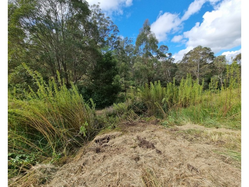 55 Charlotte Road, Hampton QLD 4352