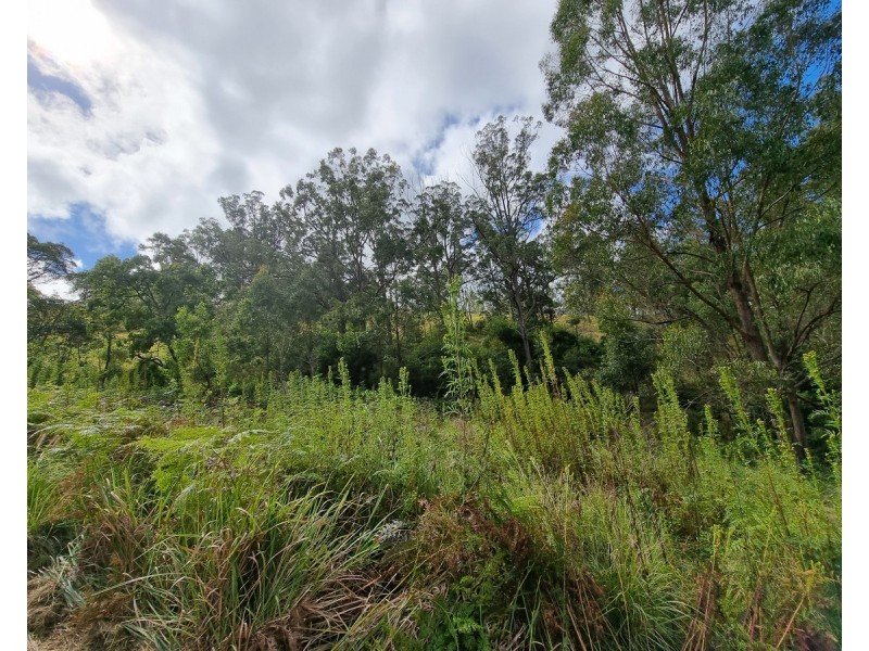 55 Charlotte Road, Hampton QLD 4352