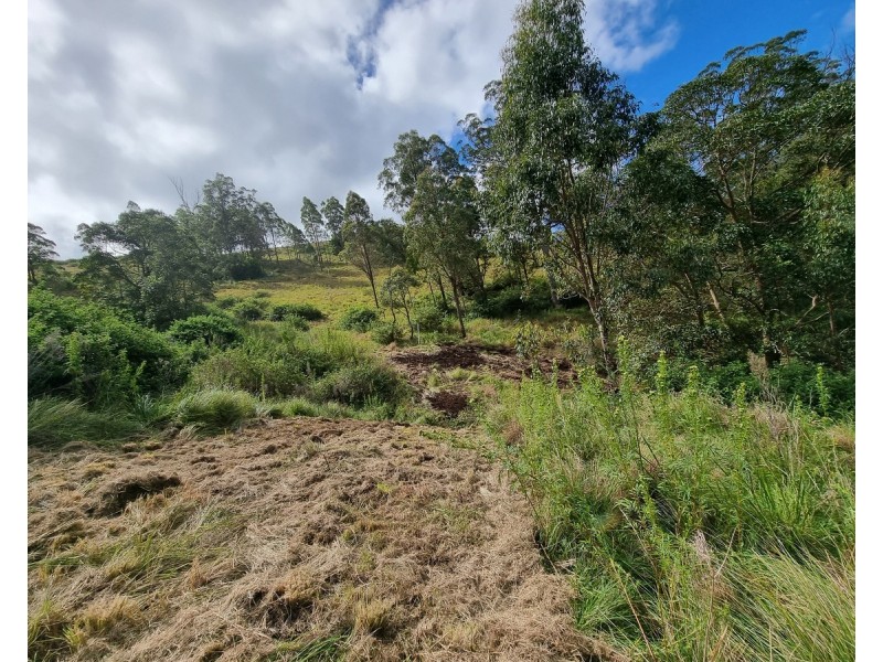 55 Charlotte Road, Hampton QLD 4352