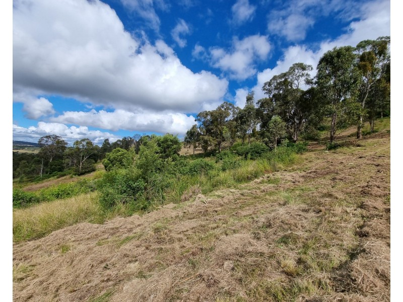 55 Charlotte Road, Hampton QLD 4352