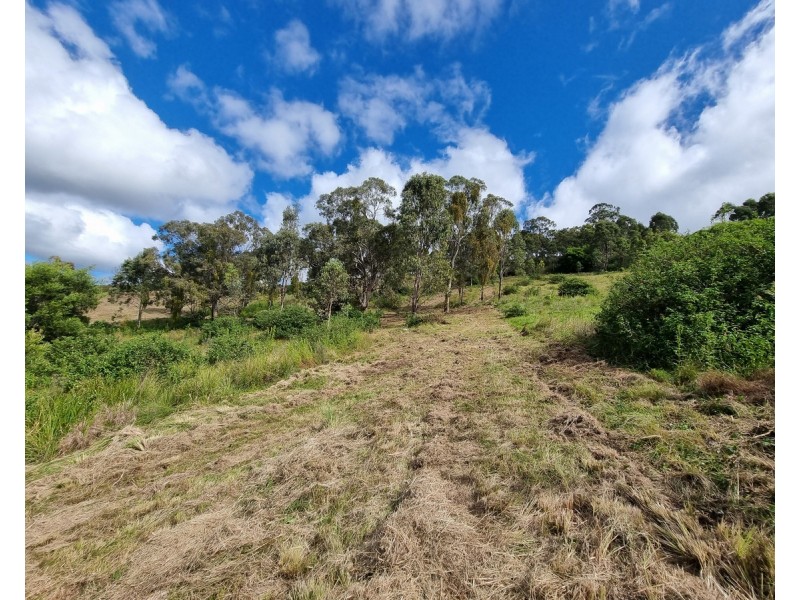 55 Charlotte Road, Hampton QLD 4352