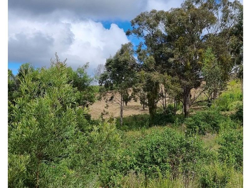 55 Charlotte Road, Hampton QLD 4352