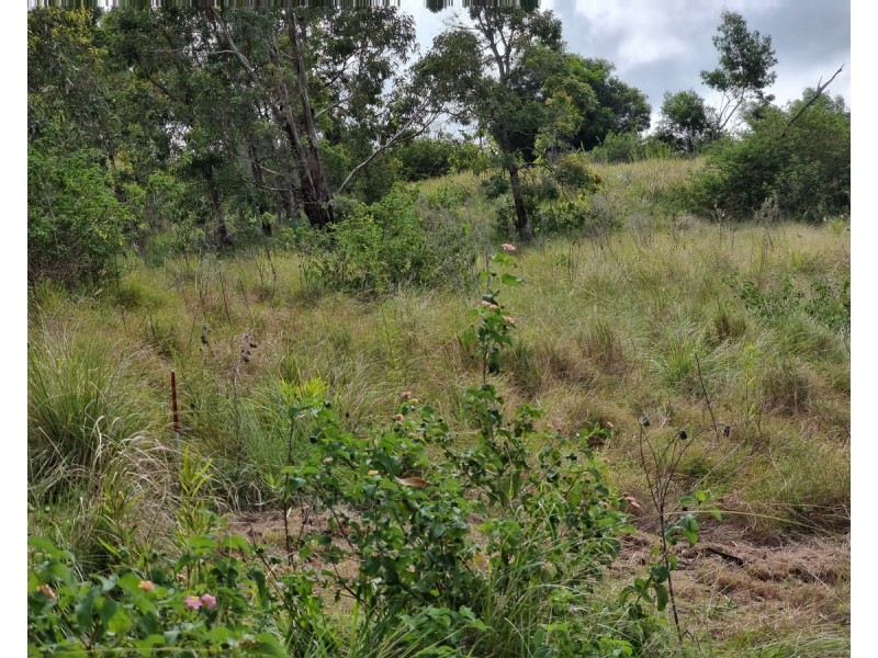 55 Charlotte Road, Hampton QLD 4352