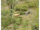 39 Rocky Gully Road, Emu Creek QLD 4355