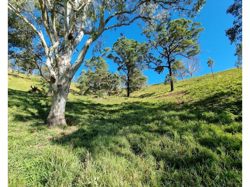 27 Traves Court, Delaneys Creek QLD 4514