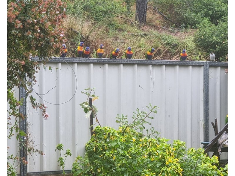 14 Railway Terrace, Crows Nest QLD 4355