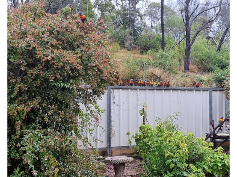 14 Railway Terrace, Crows Nest QLD 4355