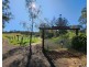 3847 New England Highway, Thornville QLD 4352