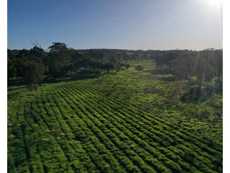 405 – 417/7534 New England Highway, Crows Nest QLD 4355