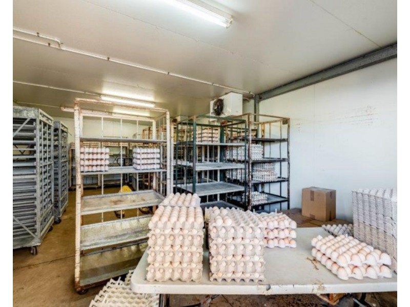 303 Grantham Scrub Road, Veradilla QLD 4347
