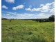 114 Cherry Creek Road, Cherry Creek QLD 4306