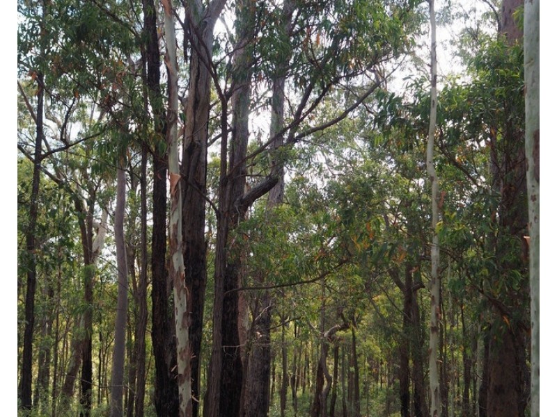 122 Kunkels Road, White Mountain QLD 4352