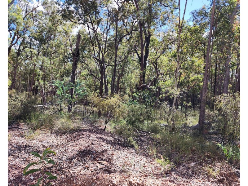 122 Kunkels Road, White Mountain QLD 4352