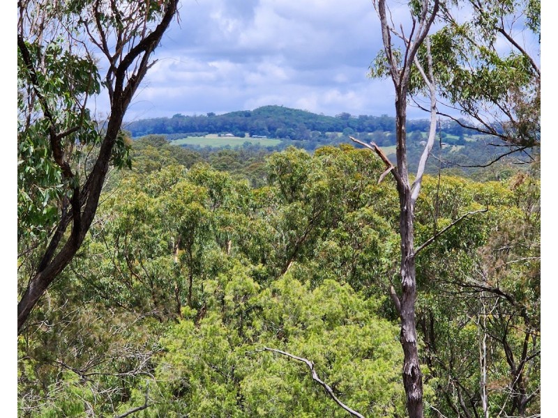 3 Ravensbourne Dip Road, Ravensbourne QLD 4352