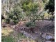 11 Woodland Crescent, Withcott QLD 4352