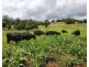 1277 Djuan Road, Haden QLD 4353