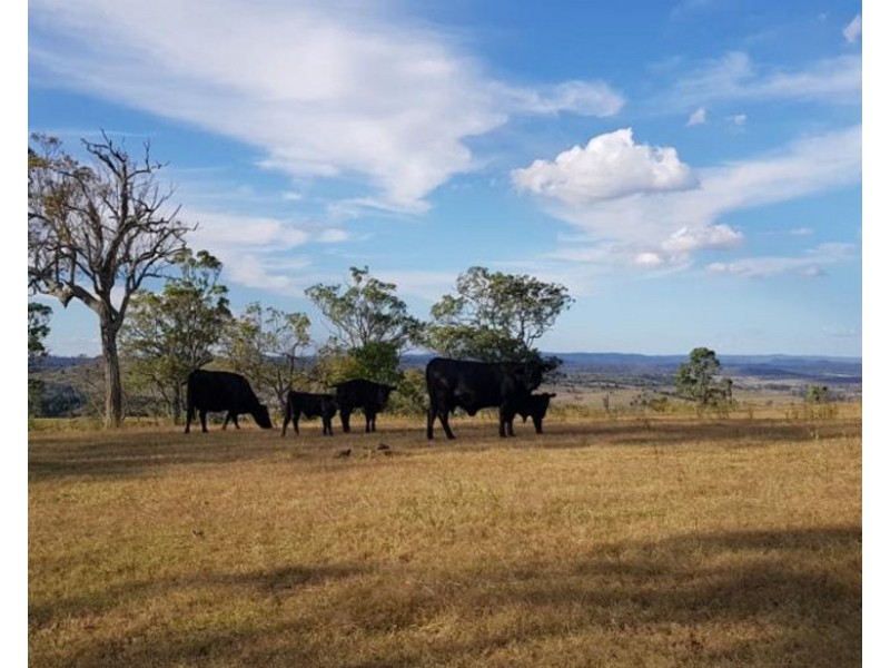 1277 Djuan Road, Haden QLD 4353