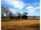 1277 Djuan Road, Haden QLD 4353